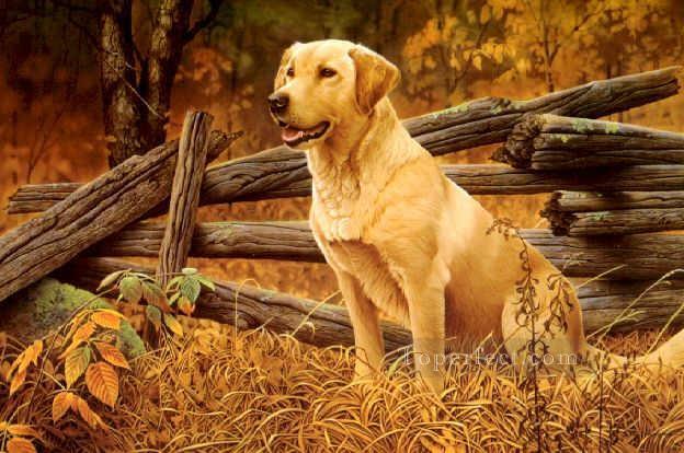 ami0032D1 animal dog Oil Paintings